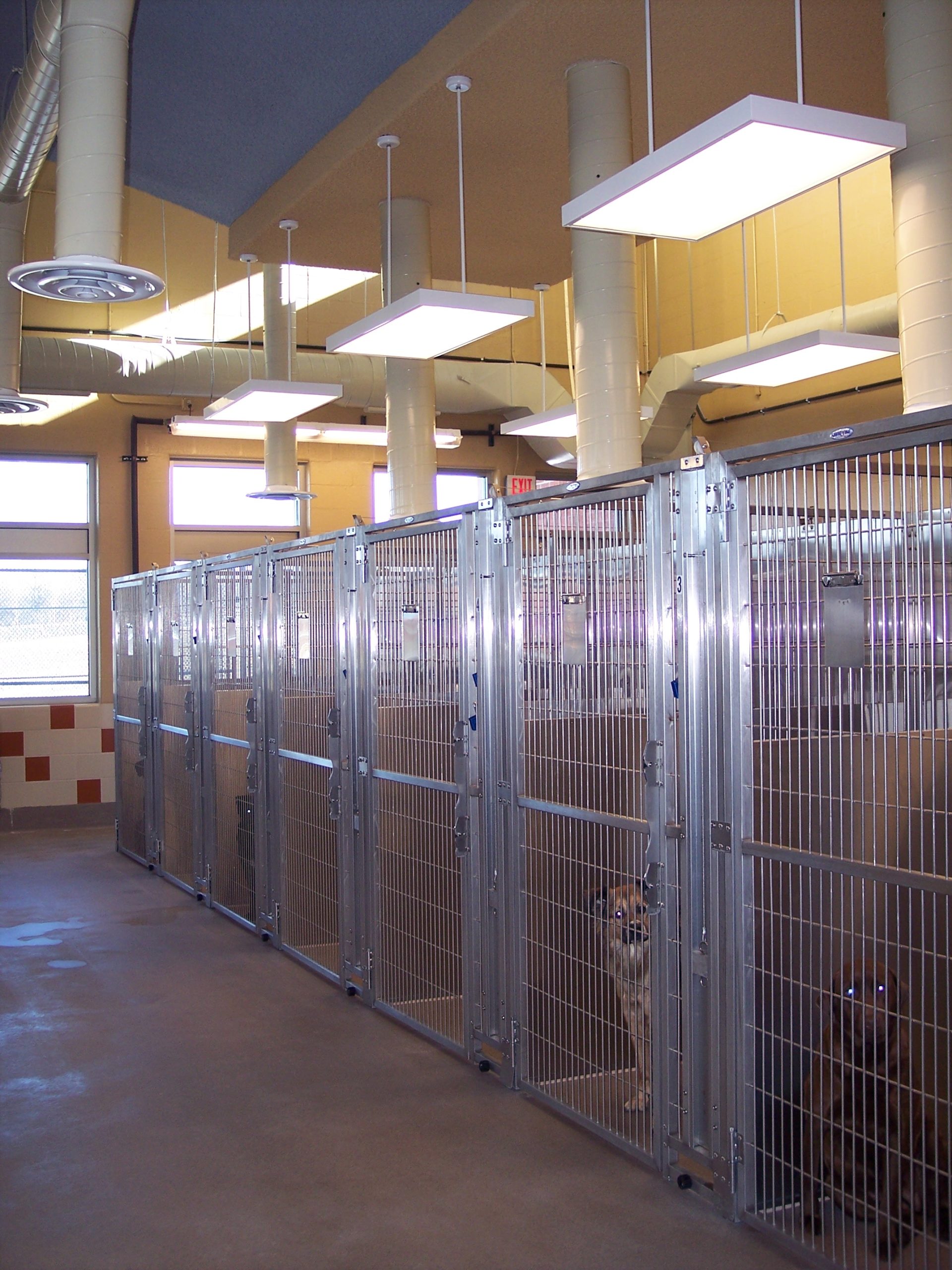 0446-1 Frederick County Animal Shelter Dog Kennels
